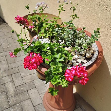 Ferienwohnung Goethe Bernkastel-Kues Luaran gambar