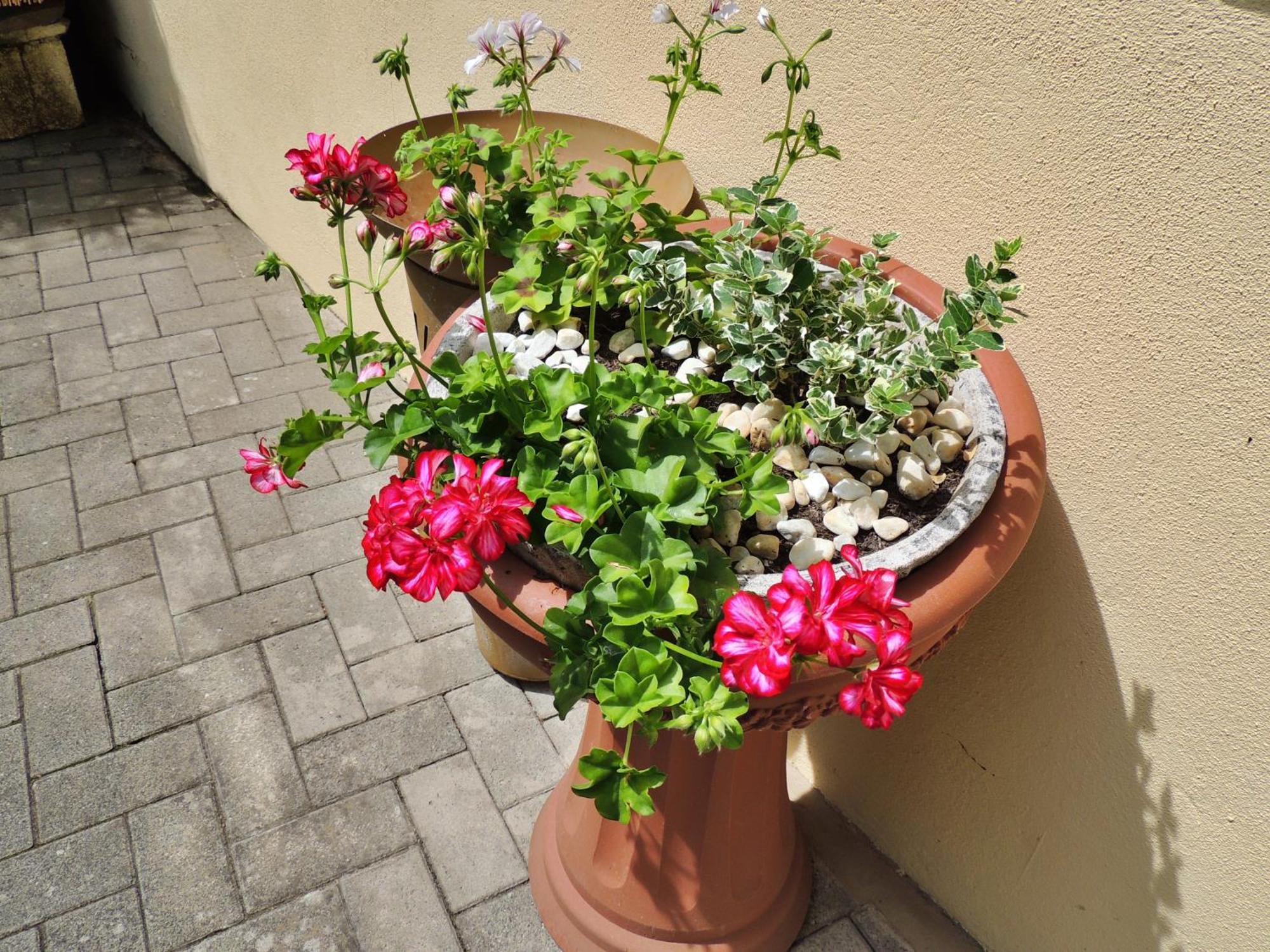 Ferienwohnung Goethe Bernkastel-Kues Luaran gambar